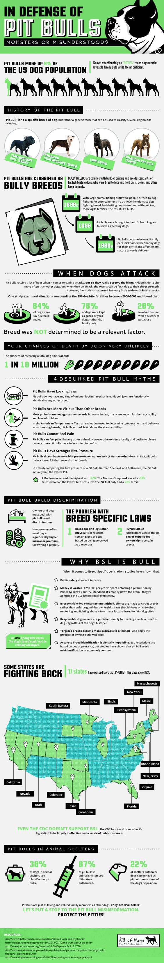 Are Pitbulls dangerous - get the facts from this enlightening infographic.