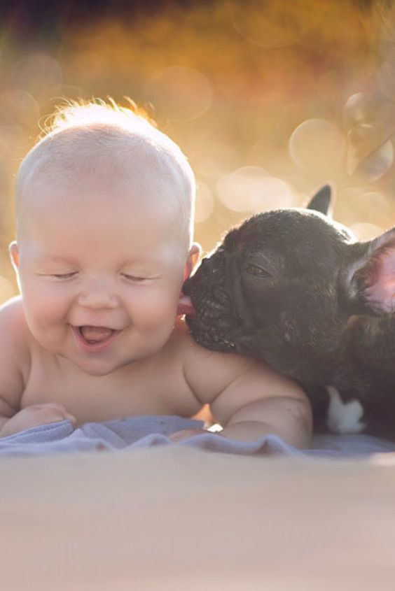 Baby And French Bulldog Best Friends Are Almost Too Cute To Handle
