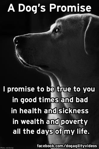 Be worthy of a dog's love and devotion!