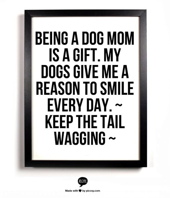 Being a dog mom is a gift. My dogs give me a reason to smile every day.  ~ Keep the Tail Wagging ~