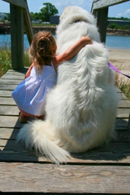 Best Friends :) The love I remember having for my dog when I was a kid is unbelievable she was my #1 friend I took her everywhere xoxo Always close to my heart!