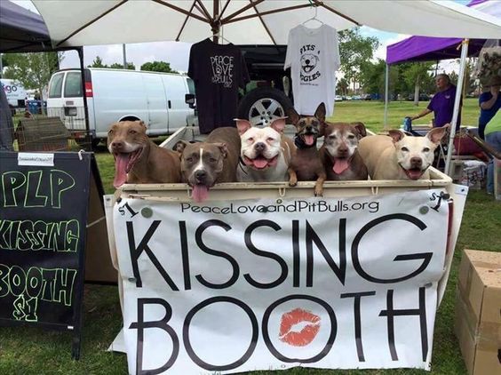 Best kissing booth ever!