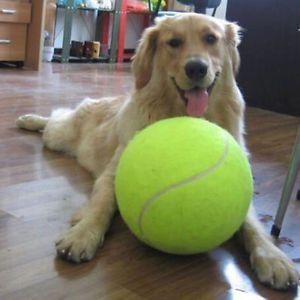 Big Giant Pet Dog Puppy Tennis Ball