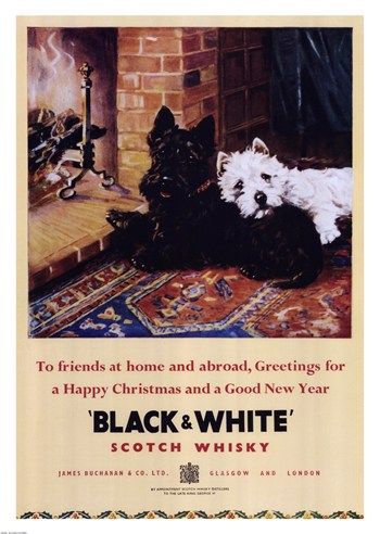 Black and White Scotch Whiskey ~ Fine-Art Print - Scottish Terrier Art Prints and Posters - Dogs and Puppies Pictures
