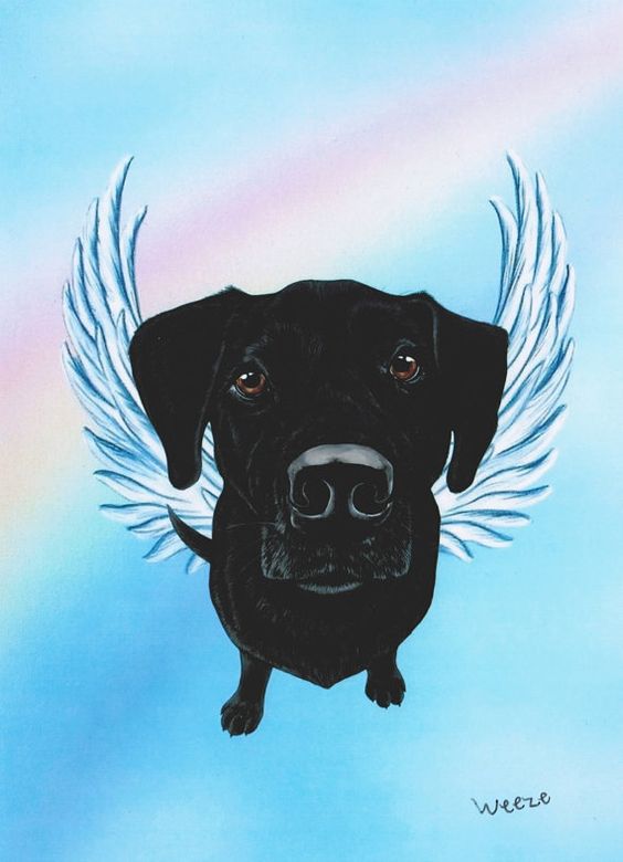 Black Lab Angel Black Labrador Retriever Art Labs by ArtbyWeeze