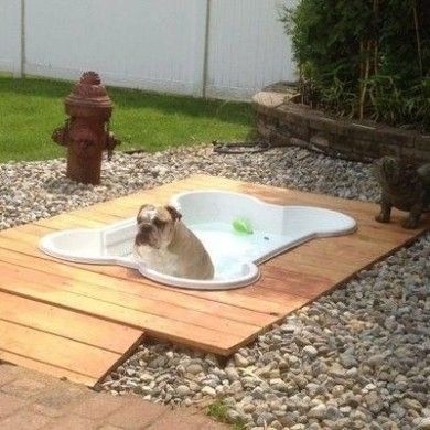Bone shaped dog pool, so cute !