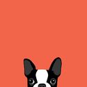Boston Terrier Art Print by Anne Was Here | Society6