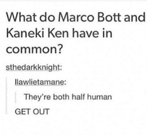 why?! Tokyo Ghoul & AOT / SNK fandom burn Marco and Ken