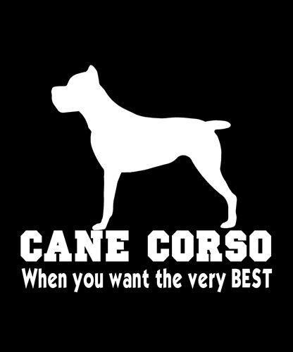CANE CORSO 4822CC