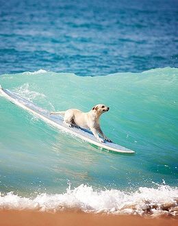 Catching a wave