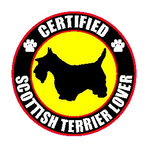 Certified Scottish Terrier Lover 4
