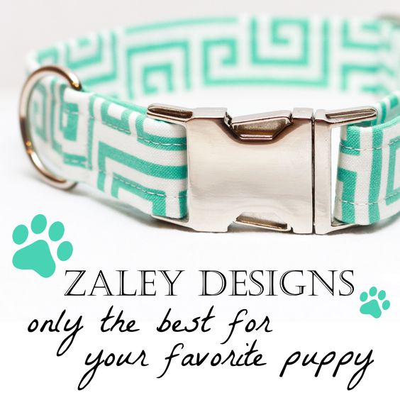 Check out Zaley Designs on Etsy! CUTE #dog collars for any fashionista puppy :)