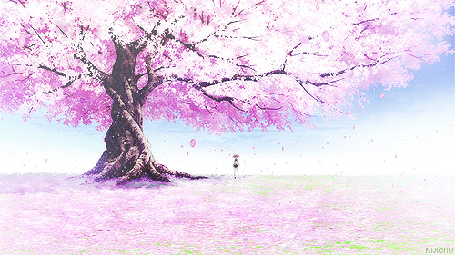 cherry blossom tree anime GIF