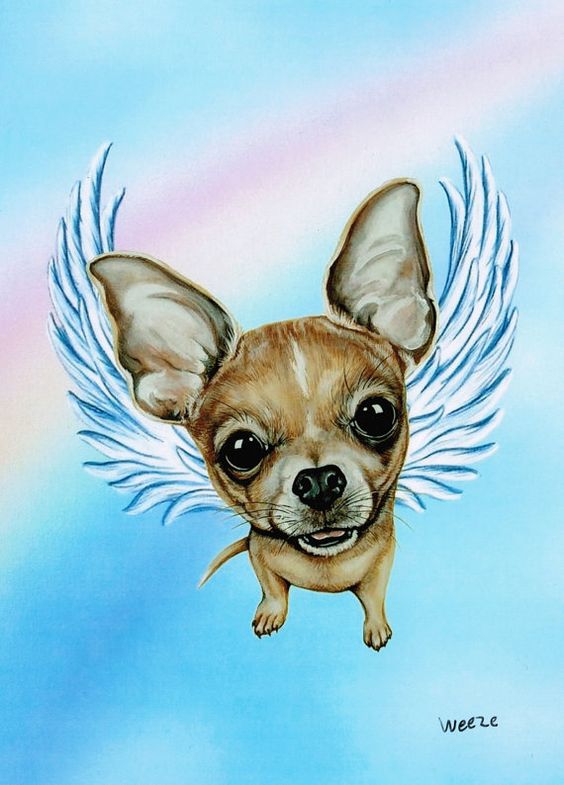 Chihuahua Angel Chihuahua Art Chihuahua Print Dog by ArtbyWeeze, $
