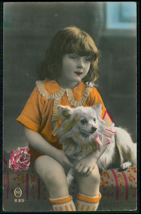 Child Girl and Pomeranian Spitz Dog original old c1920s tinted photo postcard