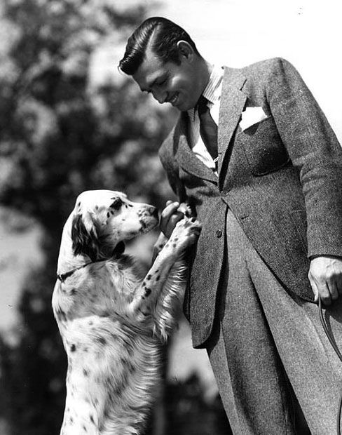 Clark Gable and his English setter.