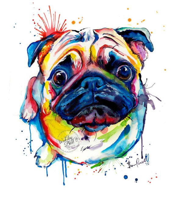 Colorful Pug Art Print - Print of my Original Watercolor Painting