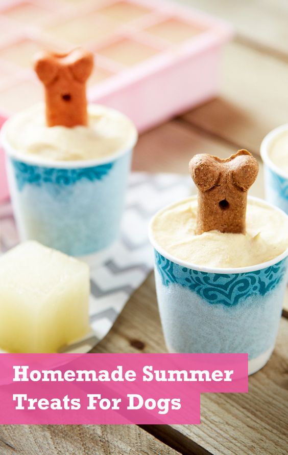 Create homemade, pet-friendly ice pops, ice cream and other goodies with our simple, delicious and wholesome treat ideas to help your dog beat the summer heat.
