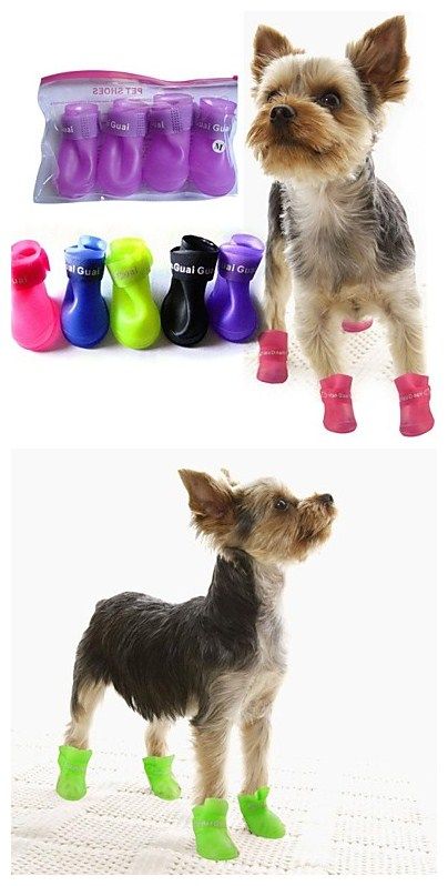 Cute Rain Boots to protect your pet from the rain! Get it in great deal now with our #miniinthebox  mega sales! Click to see more greatest deals coming!