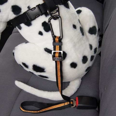 Direct to seat belt tether is a seat belt for dogs that secures your pet, keeping him safe and out of the front seat.