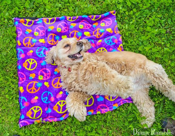 DIY Dog Summer Cool-Off Pad Tutorial Happy Dog