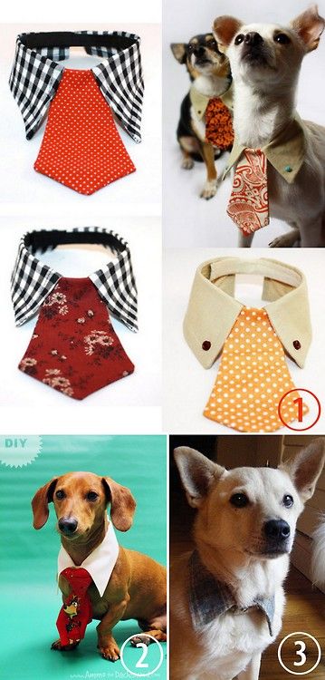 DIY: Dog Tie and Collar.