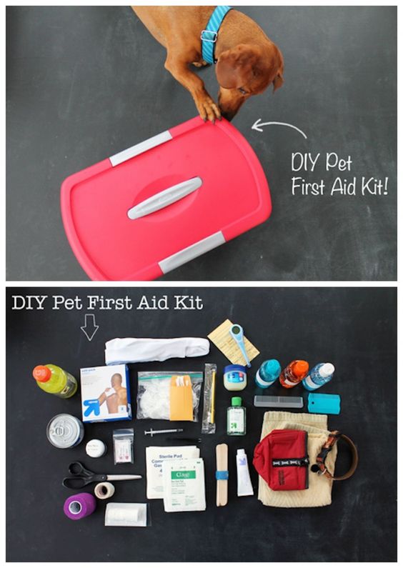 DIY Pet First Aid Kit: 19 DIY First Aid Kits That Will Prepare You For Literally Anything