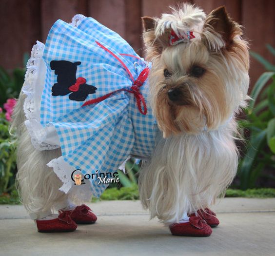 Dog Dress XS Blue Plaid By Nina's Couture by NinasCoutureCloset, $