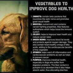 Dog health