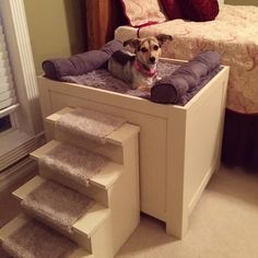 dog platform bed with stairs - Google Search