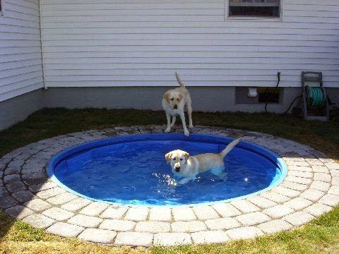 Dog Pond - Place a plastic kiddie pool in the ground. It'd be easy to clean and looks nicer than having it above ground. Big dogs can't chew it up or drag it around. Could work for kids too!