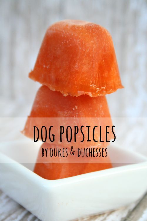 Dog Popsicles your pooch will love!