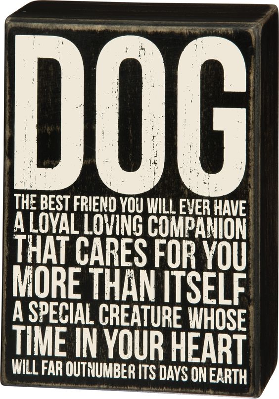 Dog - The Best Friend You Will Ever Have … Wood Box Sign - 8-in