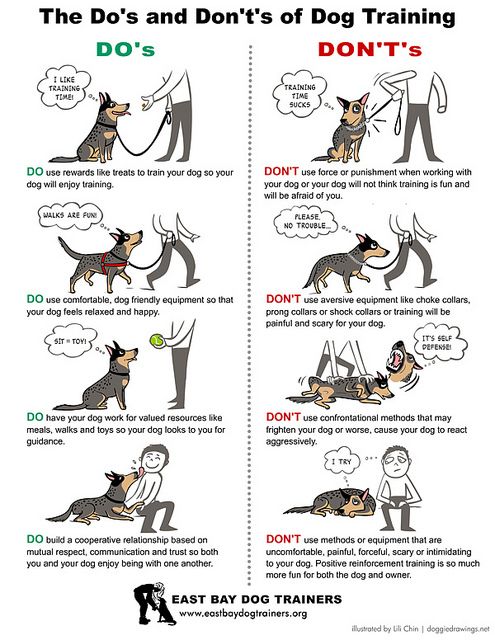 Dog Training illustration by , via Flickr
