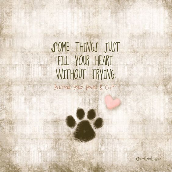 Dogs are THE best!! ..ad this would be cute if you made your own on canvas and used your dogs actual paw print and then have his memory forever!
