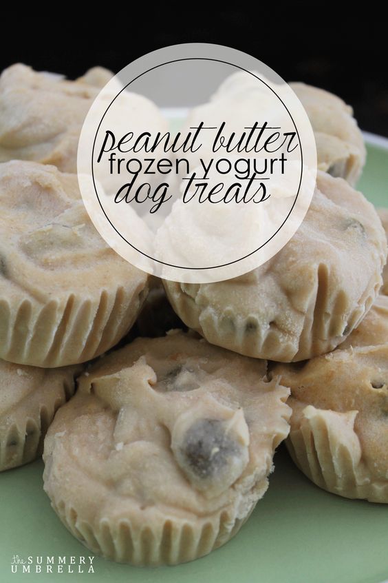 Dogs need a delightfully, pleasant treat during the summer time just as much as we do. Try out these yummy peanut butter frozen yogurt dog treats!