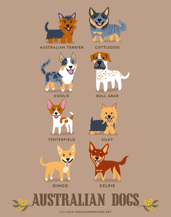 Dogs Of The World: Cute Posters Show The Origins Of 200+ Dog Breeds | Bored Panda