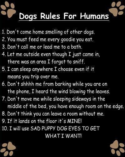 Dog's Rules for Humans