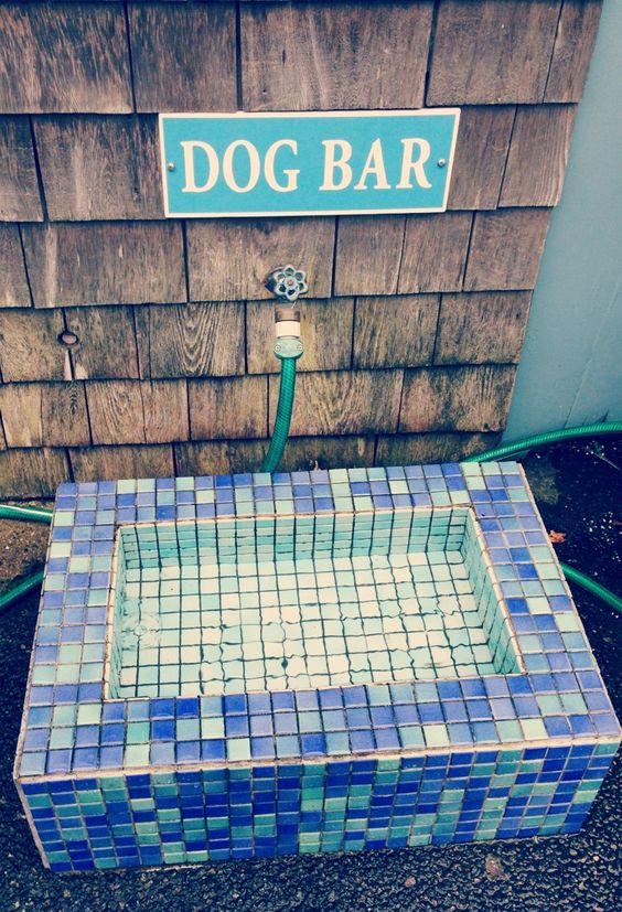 Don’t forget your furry friends when designing a beautiful backyard. We love this mosaic tile “dog bar.”