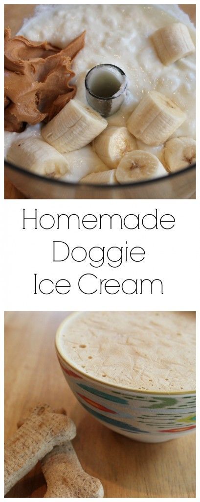 Easy (and cheap) 3 ingredient homemade doggie ice cream!