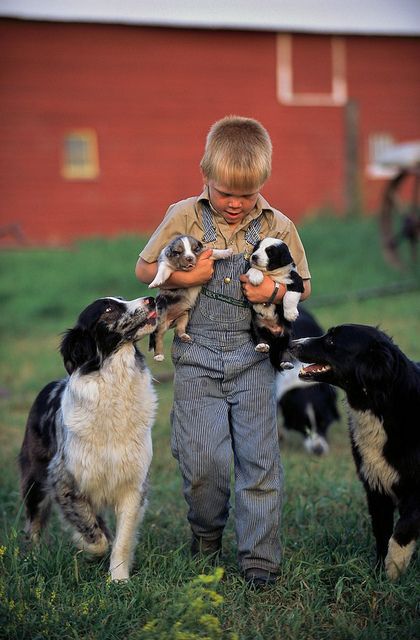 Farm Boy & Puppies,