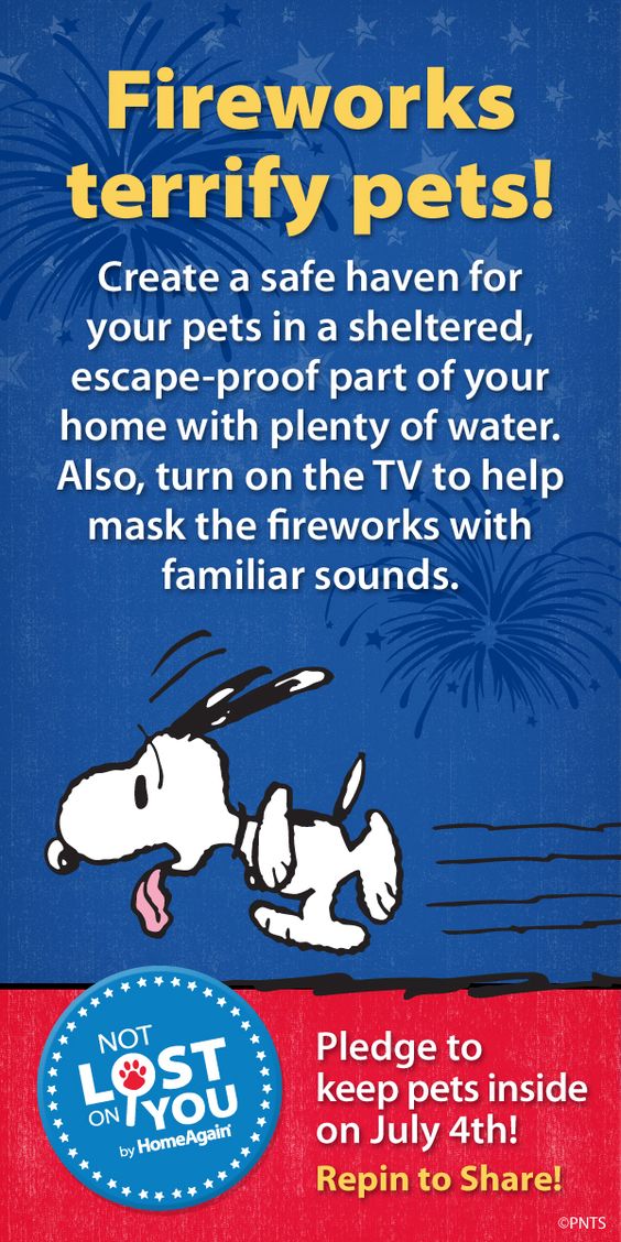 Fireworks terrify pets! Create a safe haven for your pets in a sheltered, escape-proff part of your home with plenty of water. Also, turn on the TV to help make the fireworks with familiar sounds. Pledge to keep your pets inside on July 4th. Repin to share!