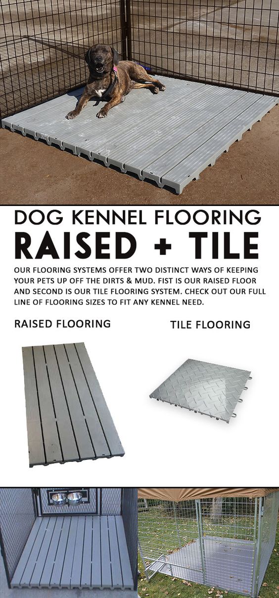 For the dog owner who has sanitation and comfort for their dogs in mind, kennel flooring is a wise choice. Here at K9 Kennel Store, you can find the best kennel flooring in the market. Choose between two types of flooring: the Raised Kennel Deck, and the Kennel Tiles.