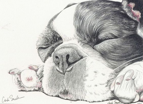 French Bulldog Dog Art Print from Drawing-Carla Smale-BobbysBears #Realism