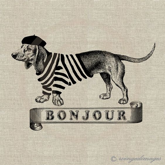 French Wienie! yes, please! ♥ French Dachshund Bonjour Digital by WingedImages, $