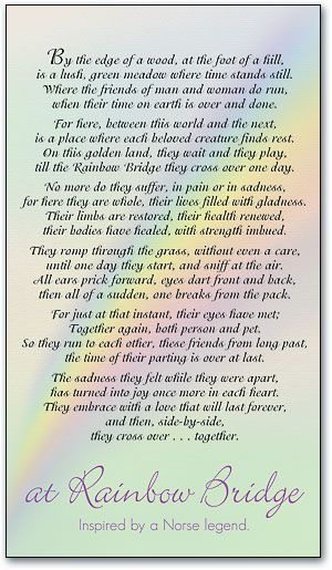 Full Sizes Rainbow Bridges Poems | At Rainbow Bridge Personalized Memorial Card by SmartPractice