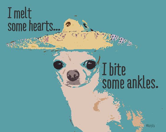 Funny Chihuahua Saying Glicee Print 8x10 16x20 from by korpita