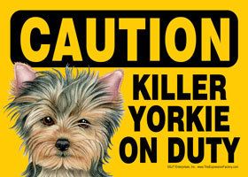 Funny Dog Sign Caution Killer Yorkie on Duty Magnet 5