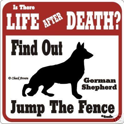 funny german shepherd pictures | Beware of dog