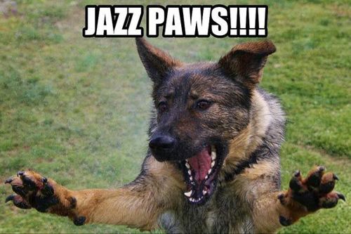 German Shepherd Funny Jazz Pawz